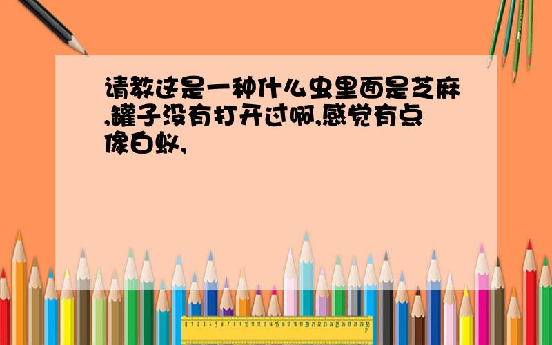 请教这是一种什么虫里面是芝麻,罐子没有打开过啊,感觉有点像白蚁,