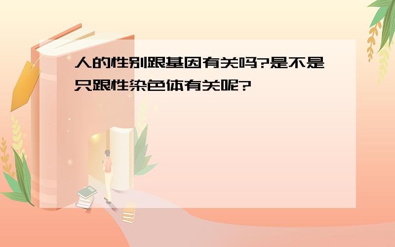 人的性别跟基因有关吗?是不是只跟性染色体有关呢?