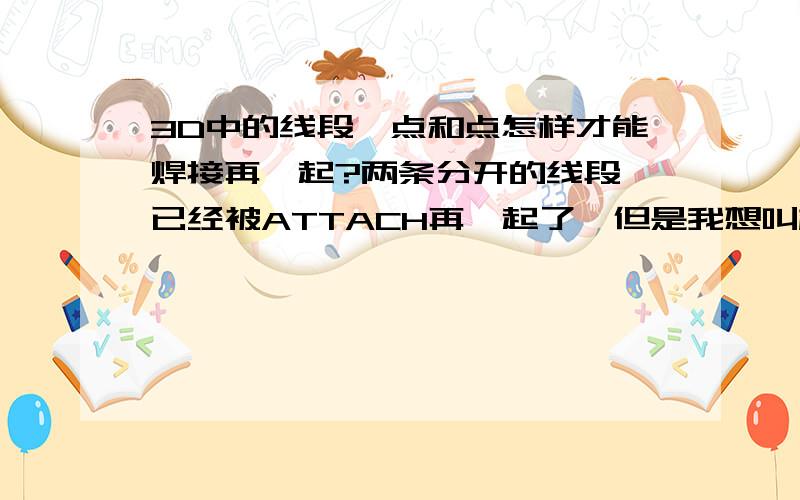 3D中的线段,点和点怎样才能焊接再一起?两条分开的线段,已经被ATTACH再一起了,但是我想叫相邻的两点焊接怎样才能做到呢?