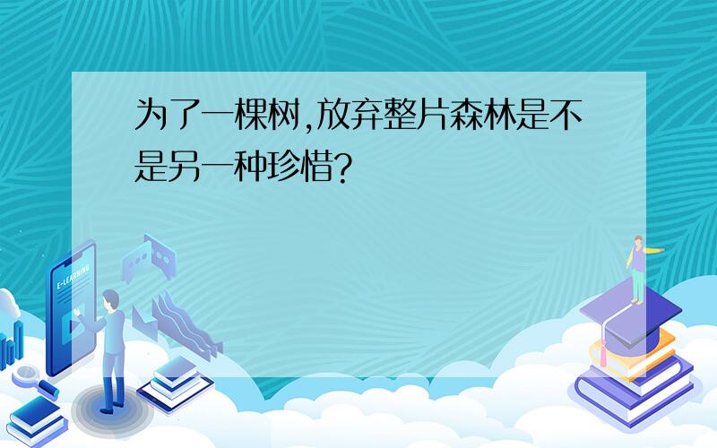 为了一棵树,放弃整片森林是不是另一种珍惜?