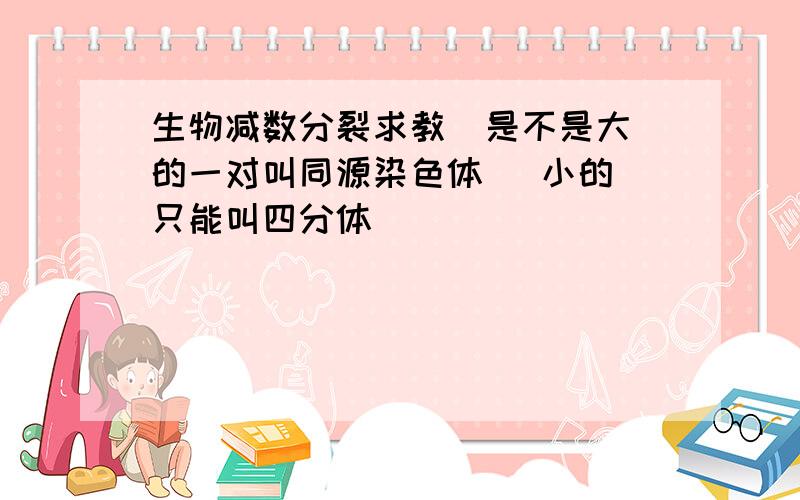 生物减数分裂求教  是不是大的一对叫同源染色体   小的只能叫四分体