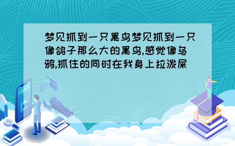 梦见抓到一只黑鸟梦见抓到一只像鸽子那么大的黑鸟,感觉像乌鸦,抓住的同时在我身上拉泼屎