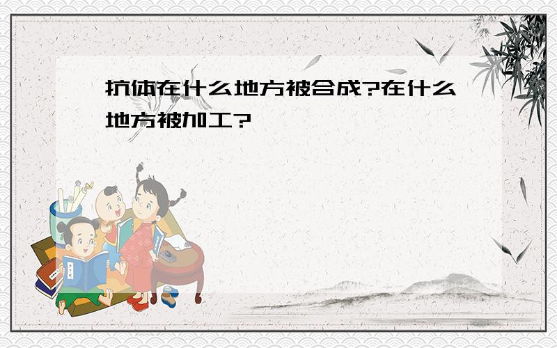 抗体在什么地方被合成?在什么地方被加工?