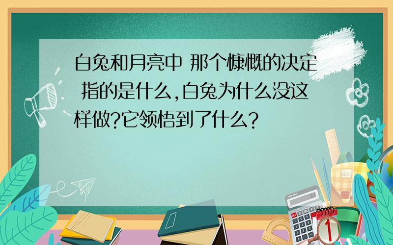 白兔和月亮中 那个慷慨的决定 指的是什么,白兔为什么没这样做?它领悟到了什么?