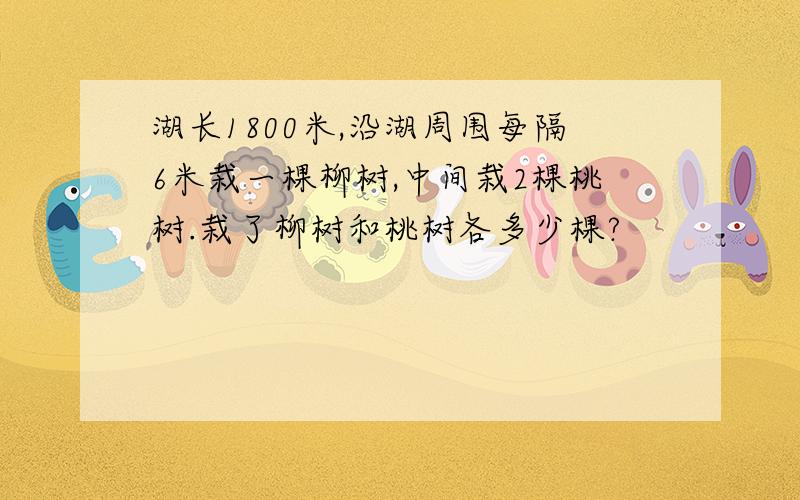 湖长1800米,沿湖周围每隔6米栽一棵柳树,中间栽2棵桃树.栽了柳树和桃树各多少棵?