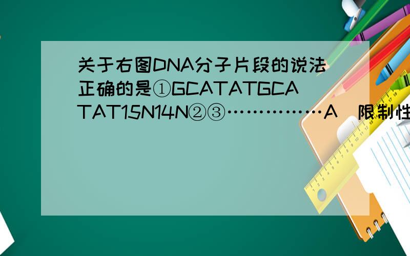 关于右图DNA分子片段的说法正确的是①GCATATGCATAT15N14N②③……………A．限制性内切酶可作用于①部位,解旋酶作用于③部位B．②处的碱基缺失导致染色体结构的变异C．把此DNA放在含15N的培养