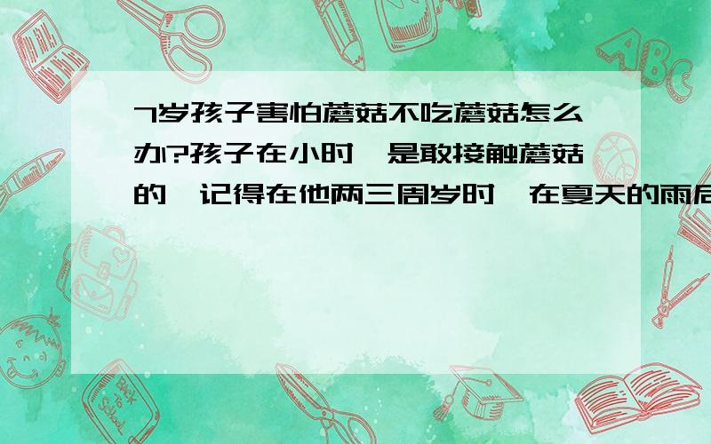 7岁孩子害怕蘑菇不吃蘑菇怎么办?孩子在小时,是敢接触蘑菇的,记得在他两三周岁时,在夏天的雨后,带着他采蘑菇,那时,我曾经告诉他,蘑菇不能随便吃的,有的不能吃有毒.那是也没发现什么不