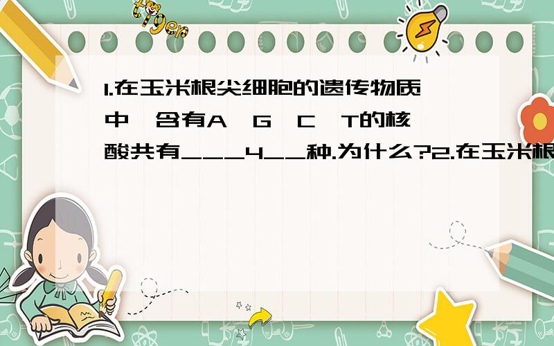 1.在玉米根尖细胞的遗传物质中,含有A、G、C、T的核苷酸共有___4__种.为什么?2.在玉米根毛细胞所含有的核苷酸中,含有碱基A、G、C、T的核苷酸共有7种.为什么?为什么两个答案不是一样?