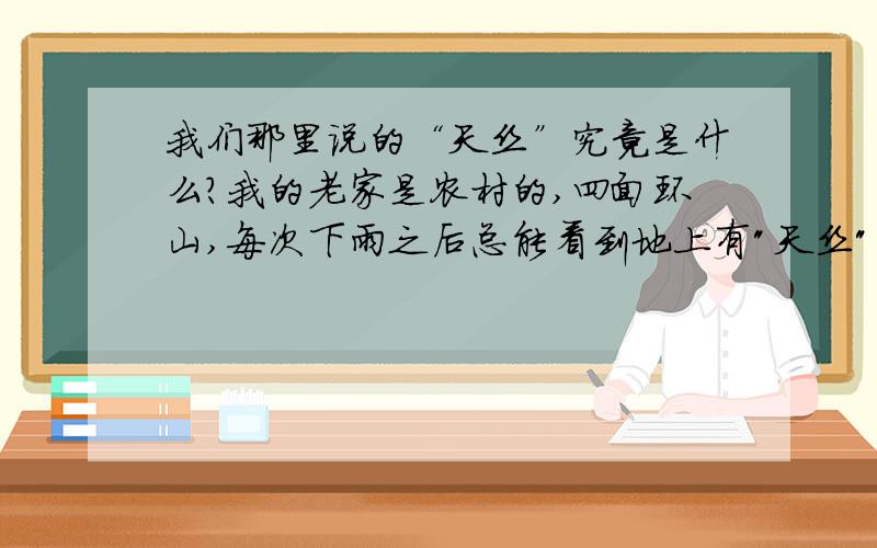 我们那里说的“天丝”究竟是什么?我的老家是农村的,四面环山,每次下雨之后总能看到地上有