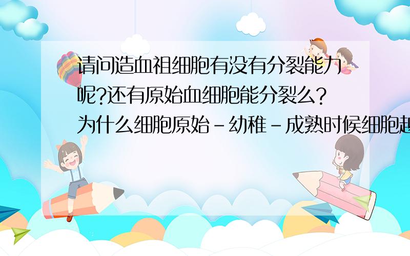 请问造血祖细胞有没有分裂能力呢?还有原始血细胞能分裂么?为什么细胞原始-幼稚-成熟时候细胞越来越小