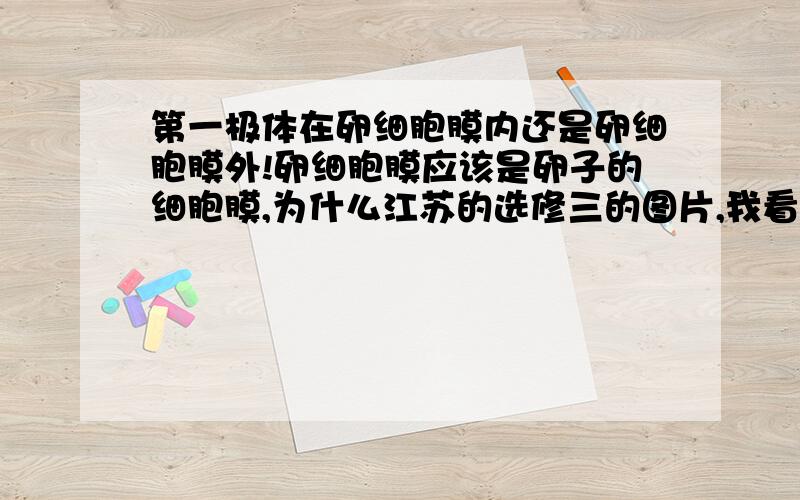 第一极体在卵细胞膜内还是卵细胞膜外!卵细胞膜应该是卵子的细胞膜,为什么江苏的选修三的图片,我看见的是第一极体在卵细胞膜内阿?看不懂耶