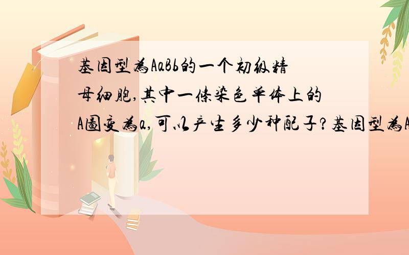 基因型为AaBb的一个初级精母细胞,其中一条染色单体上的A图变为a,可以产生多少种配子?基因型为AaBb(两对基因独立遗传）的一个初级精母细胞,在减数分裂过程中出现基因突变,使其中一条染色