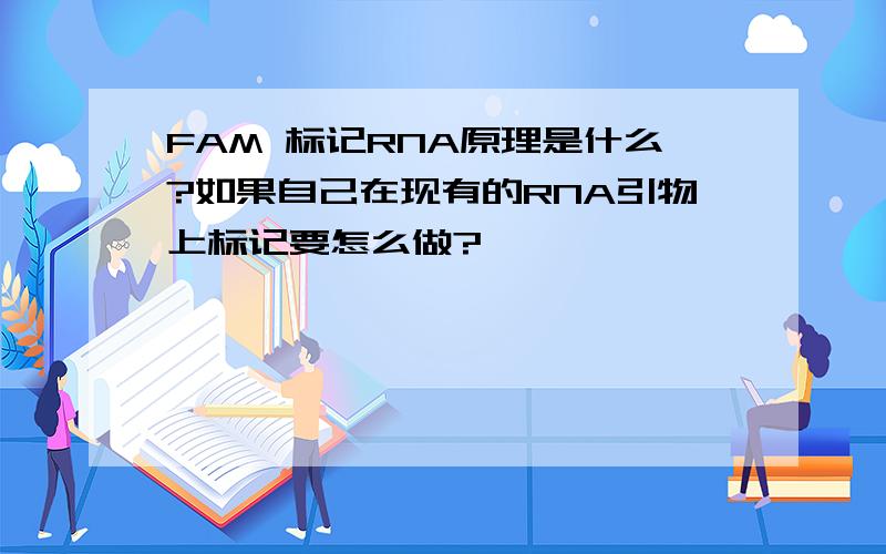 FAM 标记RNA原理是什么?如果自己在现有的RNA引物上标记要怎么做?