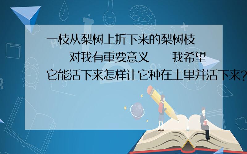 一枝从梨树上折下来的梨树枝　　　对我有重要意义　　我希望它能活下来怎样让它种在土里并活下来?前几天折下来的　　泡在矿泉水里　带有花苞的　　过两天花开了　　开了两天又谢了