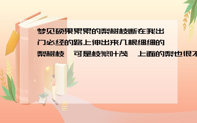 梦见硕果累累的梨树枝断在我出门必经的路上伸出来几根细细的梨树枝,可是枝繁叶茂,上面的梨也很不错,都压弯了,我想过去,轻轻一抬树枝就断了我的朋友在分手,这样的梦是给她做的吧?