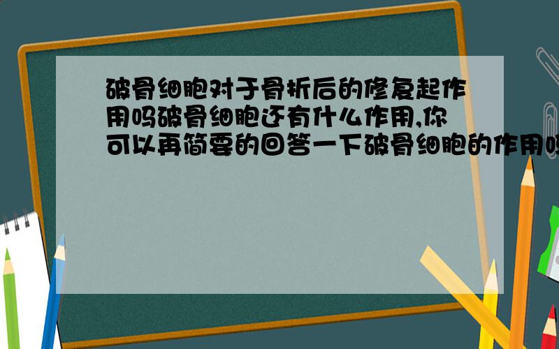 破骨细胞对于骨折后的修复起作用吗破骨细胞还有什么作用,你可以再简要的回答一下破骨细胞的作用吗