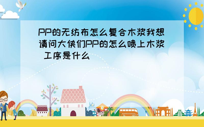 PP的无纺布怎么复合木浆我想请问大侠们PP的怎么喷上木浆 工序是什么