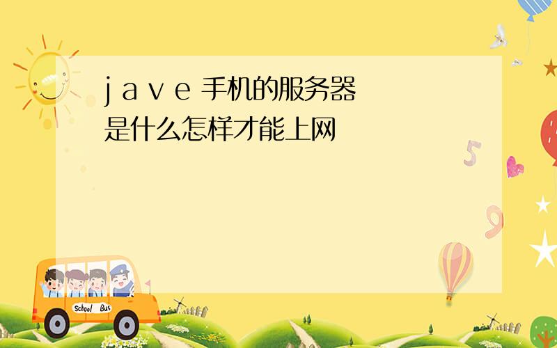 j a v e 手机的服务器是什么怎样才能上网