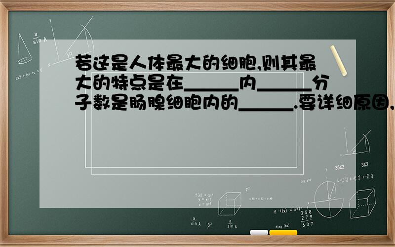 若这是人体最大的细胞,则其最大的特点是在＿＿＿内＿＿＿分子数是肠腺细胞内的＿＿＿.要详细原因,谢...若这是人体最大的细胞,则其最大的特点是在＿＿＿内＿＿＿分子数是肠腺细胞内的