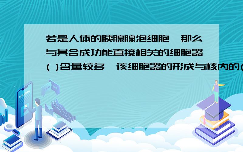 若是人体的胰腺腺泡细胞,那么与其合成功能直接相关的细胞器( )含量较多,该细胞器的形成与核内的( )有关1、若是人体的胰腺腺泡细胞,那么与其合成功能直接相关的细胞器( )含量较多,该细