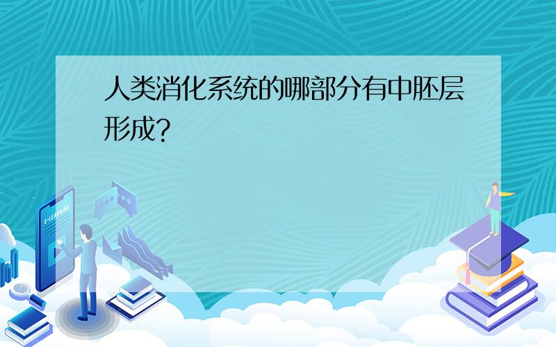 人类消化系统的哪部分有中胚层形成?