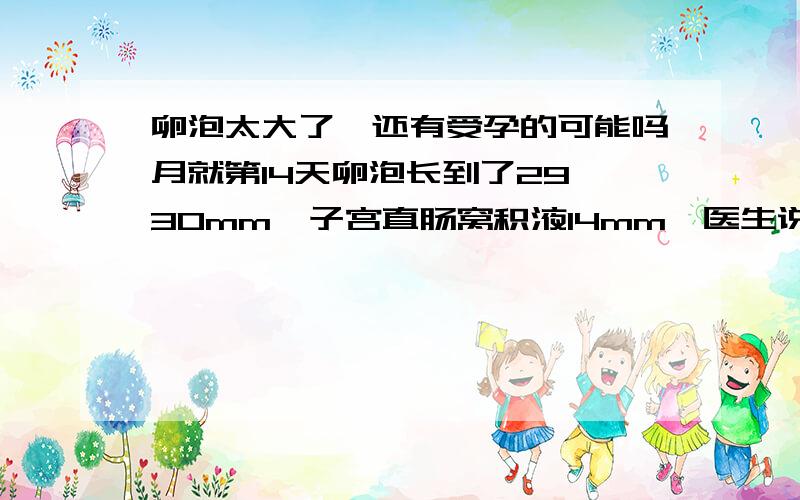 卵泡太大了,还有受孕的可能吗月就第14天卵泡长到了29×30mm,子宫直肠窝积液14mm,医生说太大了,开了排卵的中药,让它排出来,这个月还有怀孕的可能吗,这个月吃了克罗米芬促排的,有没有可能其