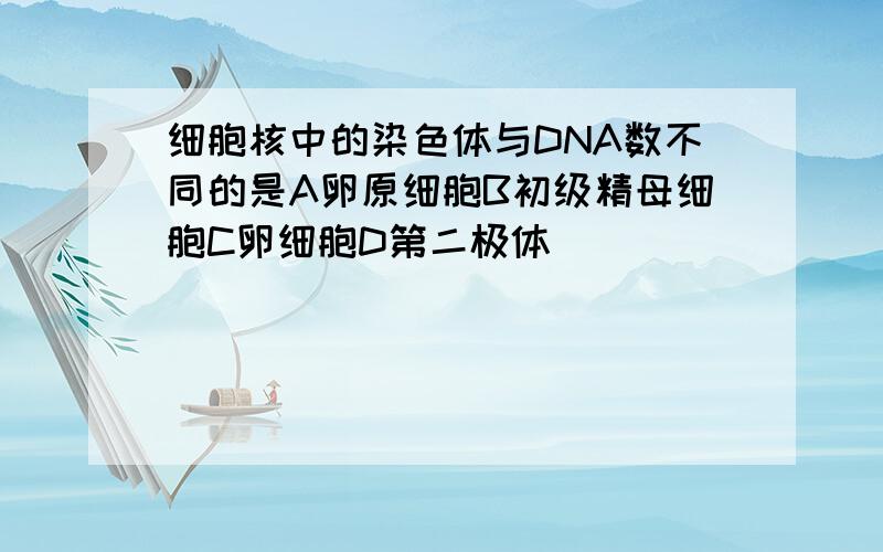 细胞核中的染色体与DNA数不同的是A卵原细胞B初级精母细胞C卵细胞D第二极体