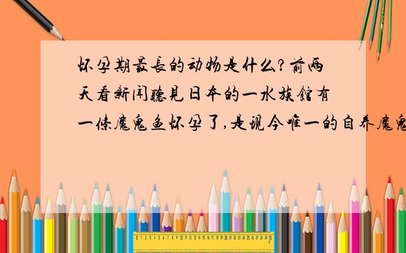 怀孕期最长的动物是什么?前两天看新闻听见日本的一水族馆有一条魔鬼鱼怀孕了,是现今唯一的自养魔鬼鱼怀孕,怀孕期长达376天.所以想问一下世界上怀孕期最多的动物是什么?