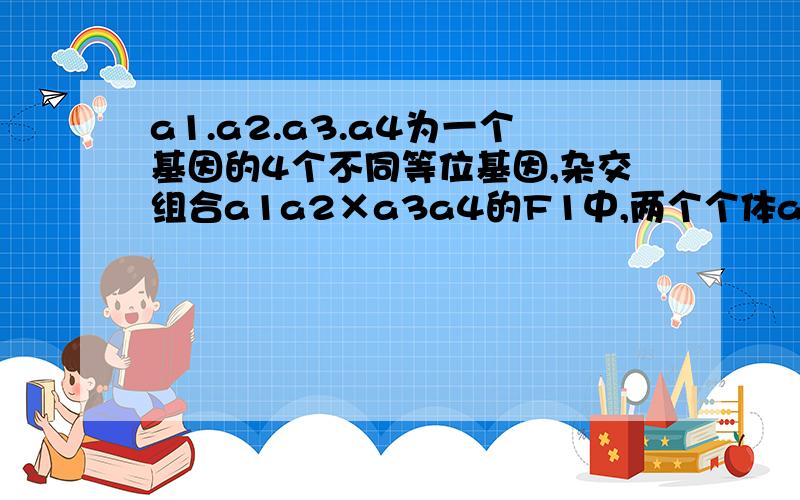 a1.a2.a3.a4为一个基因的4个不同等位基因,杂交组合a1a2×a3a4的F1中,两个个体a1.a2.a3.a4为一个基因的4个不同等位基因,杂交组合a1a2×a3a4的F1中,两个个体基因型都为a1a3的概率是（ ） A.1/6 B.1/8 C.1/4 D.1