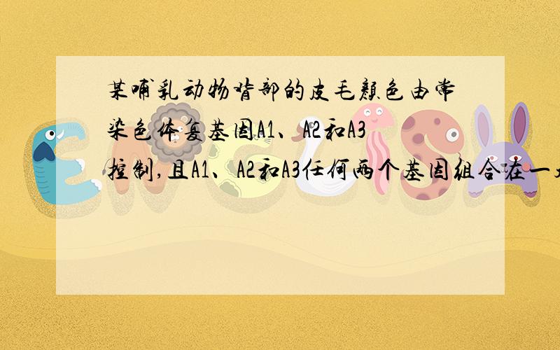 某哺乳动物背部的皮毛颜色由常染色体复基因A1、A2和A3控制,且A1、A2和A3任何两个基因组合在一起,选CA1A1为褐色 A1A2为棕色 A1A3为黑色A2A2 A3A3为白色 那么A2A3为什么颜色呢