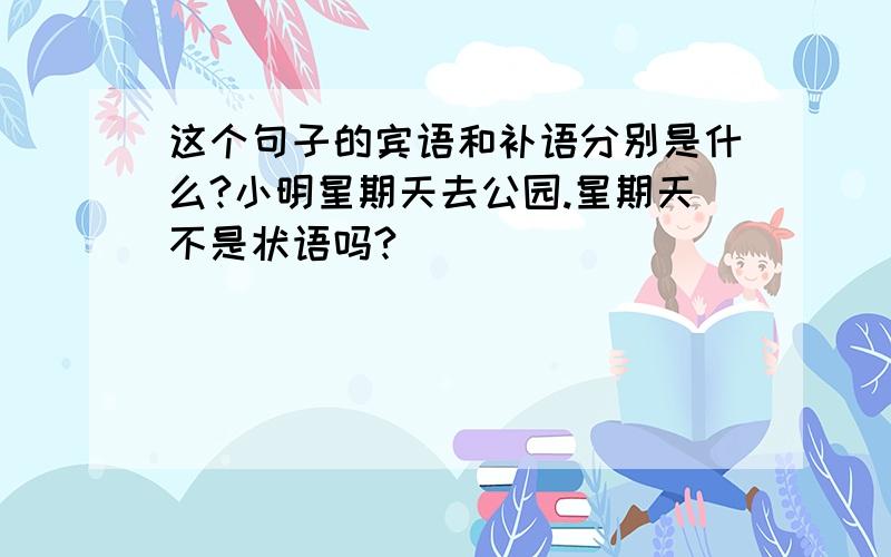 这个句子的宾语和补语分别是什么?小明星期天去公园.星期天不是状语吗?