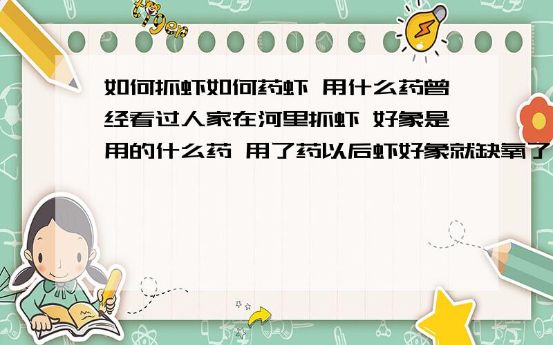 如何抓虾如何药虾 用什么药曾经看过人家在河里抓虾 好象是用的什么药 用了药以后虾好象就缺氧了 自己就往岸边蹦 非常的多 在哪里可以买到 有毒吗 如何使用