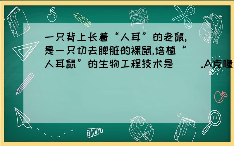 一只背上长着“人耳”的老鼠,是一只切去脾脏的裸鼠,培植“人耳鼠”的生物工程技术是（ ）.A克隆技术 B.细胞融合 C动物胚胎移植 D.细胞核移植