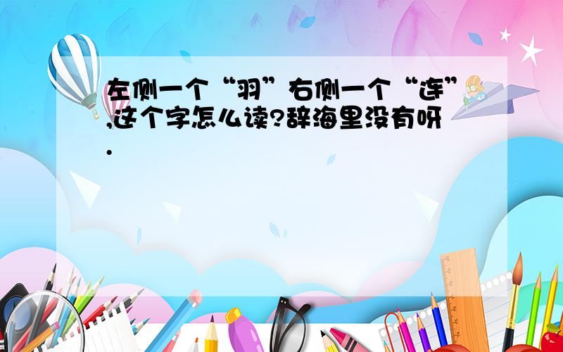 左侧一个“羽”右侧一个“连”,这个字怎么读?辞海里没有呀.