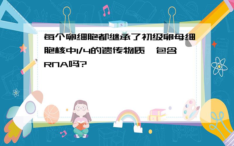 每个卵细胞都继承了初级卵母细胞核中1/4的遗传物质,包含RNA吗?