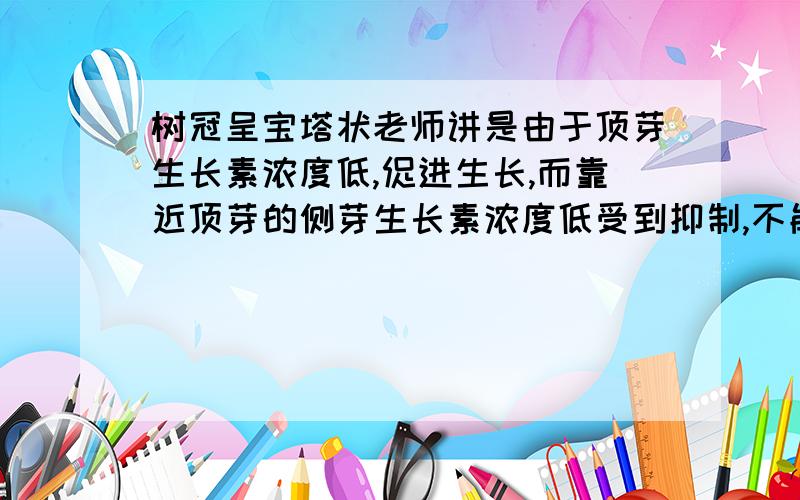 树冠呈宝塔状老师讲是由于顶芽生长素浓度低,促进生长,而靠近顶芽的侧芽生长素浓度低受到抑制,不能发育成枝条.但是侧芽也会释放生长素,由于极性运输会在整棵树靠下部分大量积累受到