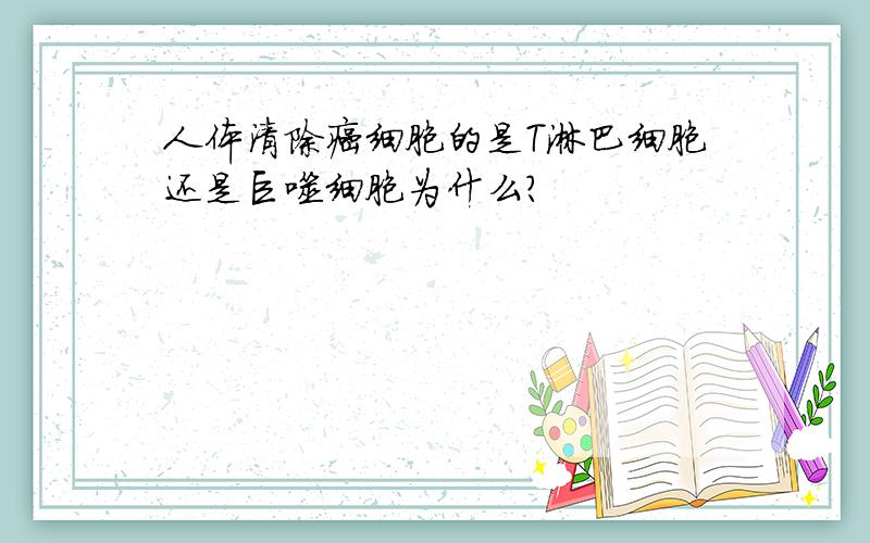 人体清除癌细胞的是T淋巴细胞还是巨噬细胞为什么?