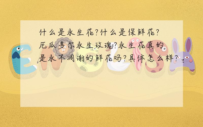 什么是永生花?什么是保鲜花?厄瓜多尔永生玫瑰?永生花真的是永不凋谢的鲜花吗?具体怎么样?