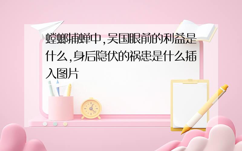 螳螂捕蝉中,吴国眼前的利益是什么,身后隐伏的祸患是什么插入图片