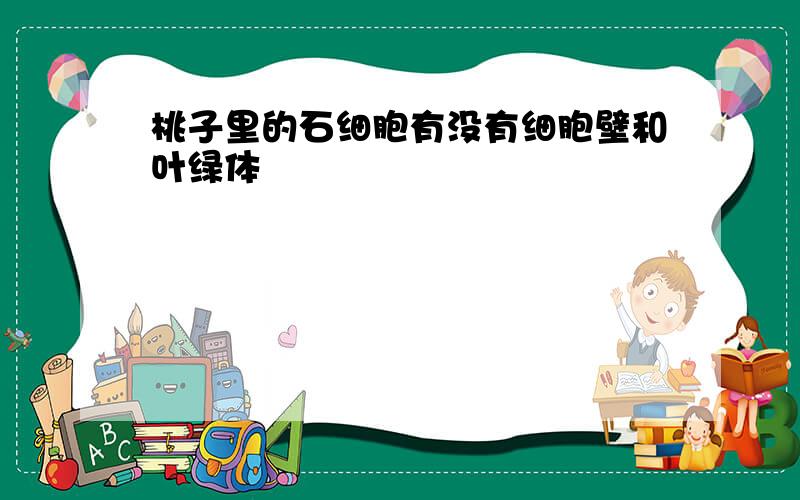 桃子里的石细胞有没有细胞壁和叶绿体