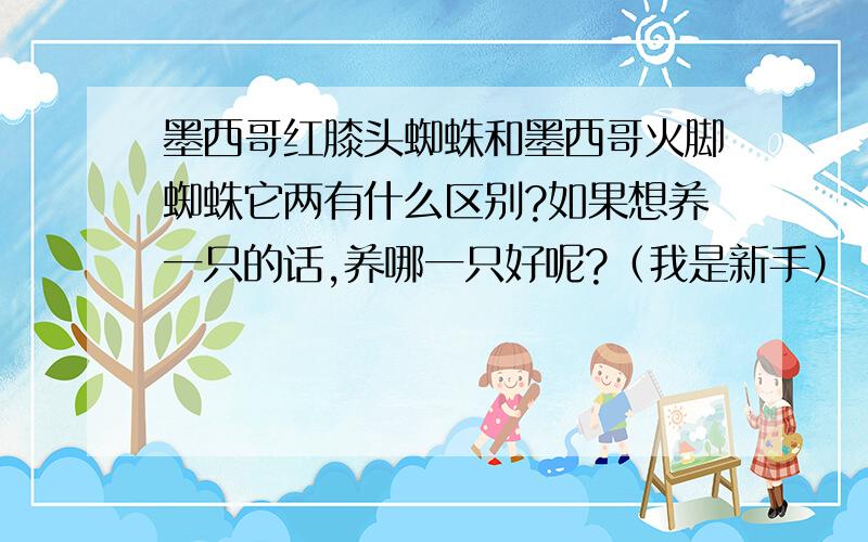 墨西哥红膝头蜘蛛和墨西哥火脚蜘蛛它两有什么区别?如果想养一只的话,养哪一只好呢?（我是新手）