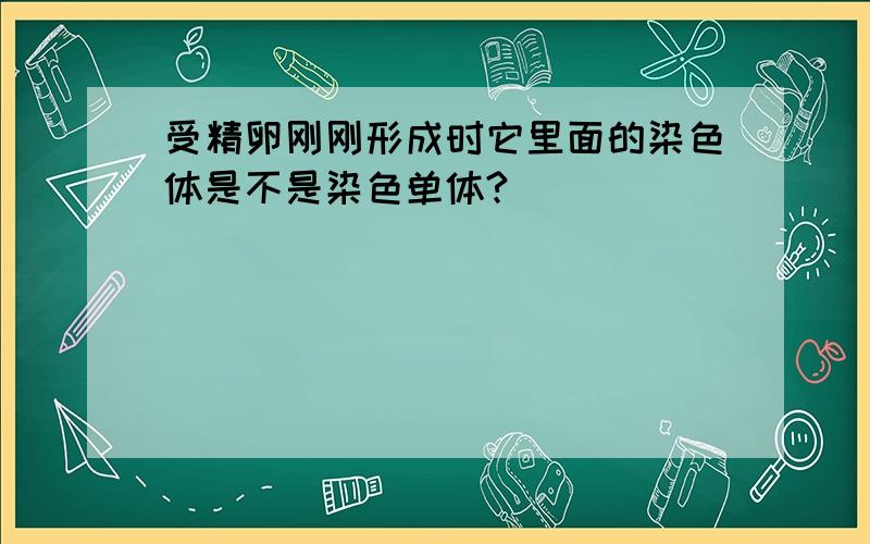 受精卵刚刚形成时它里面的染色体是不是染色单体?