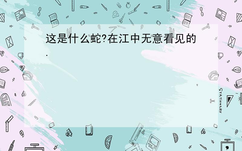 这是什么蛇?在江中无意看见的.