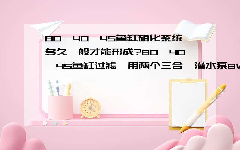 80*40*45鱼缸硝化系统多久一般才能形成?80*40*45鱼缸过滤,用两个三合一潜水泵8W,800L/H,扬程0.8米,喷氧口都堵了.现在上滤70*16*16（分四格）,第一格两层黑色生化绵（共10cm厚）,过滤棉四层,在第一