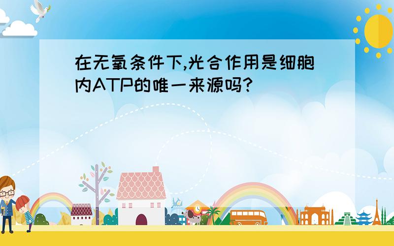 在无氧条件下,光合作用是细胞内ATP的唯一来源吗?