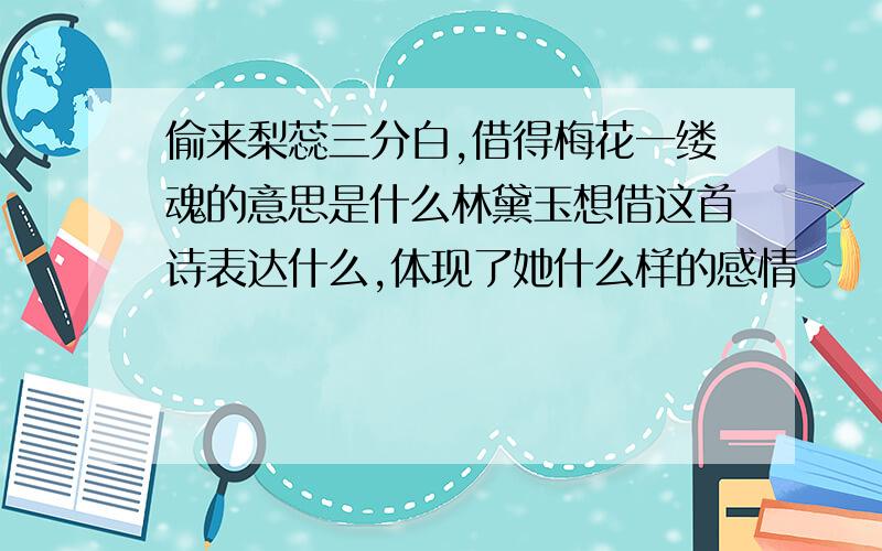 偷来梨蕊三分白,借得梅花一缕魂的意思是什么林黛玉想借这首诗表达什么,体现了她什么样的感情