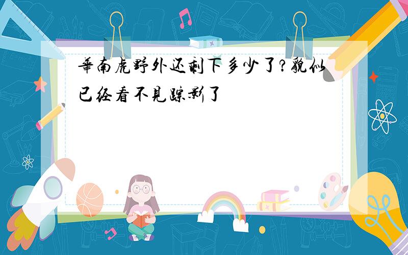 华南虎野外还剩下多少了?貌似已经看不见踪影了