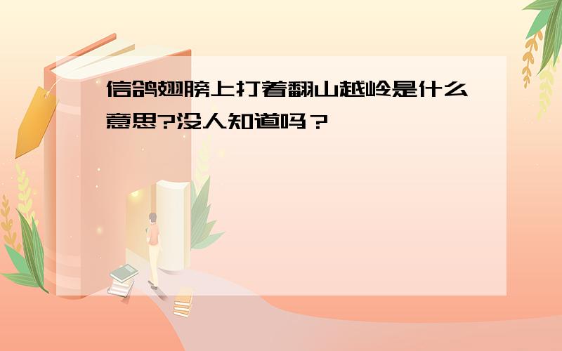 信鸽翅膀上打着翻山越岭是什么意思?没人知道吗？