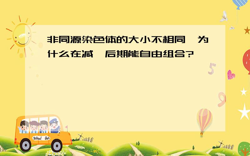 非同源染色体的大小不相同,为什么在减一后期能自由组合?