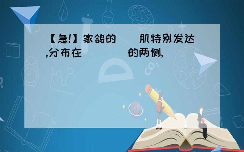 【急!】家鸽的__肌特别发达,分布在____的两侧,